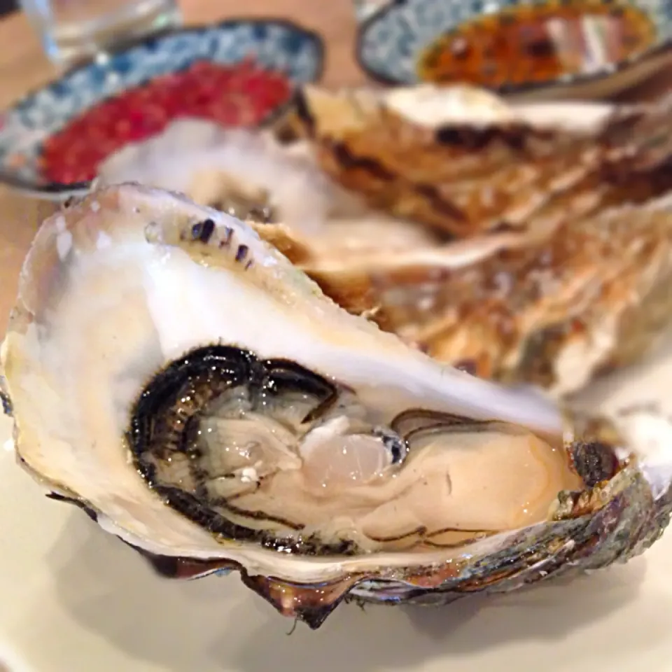 Snapdishの料理写真:Oyster|willzさん