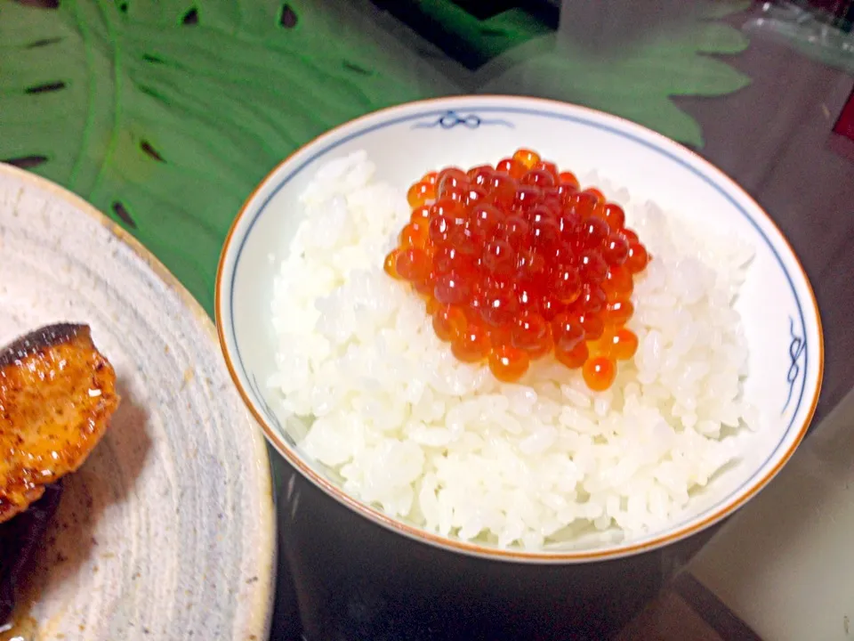 いくらご飯|みやさん