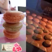 Macaron💖|Loisさん