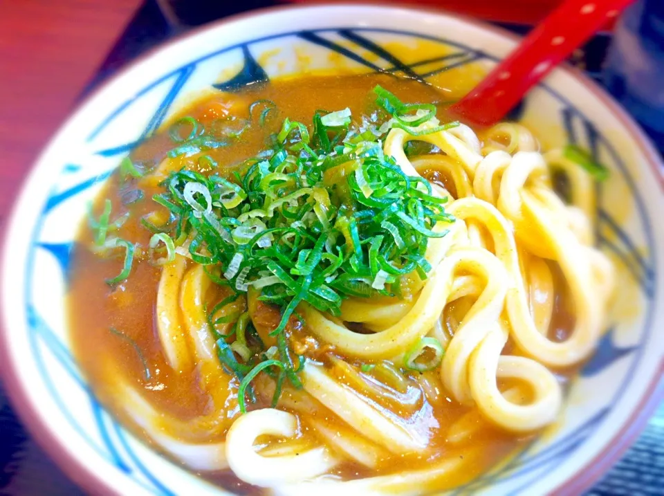 丸亀製麺、カレーうどん|TORUさん