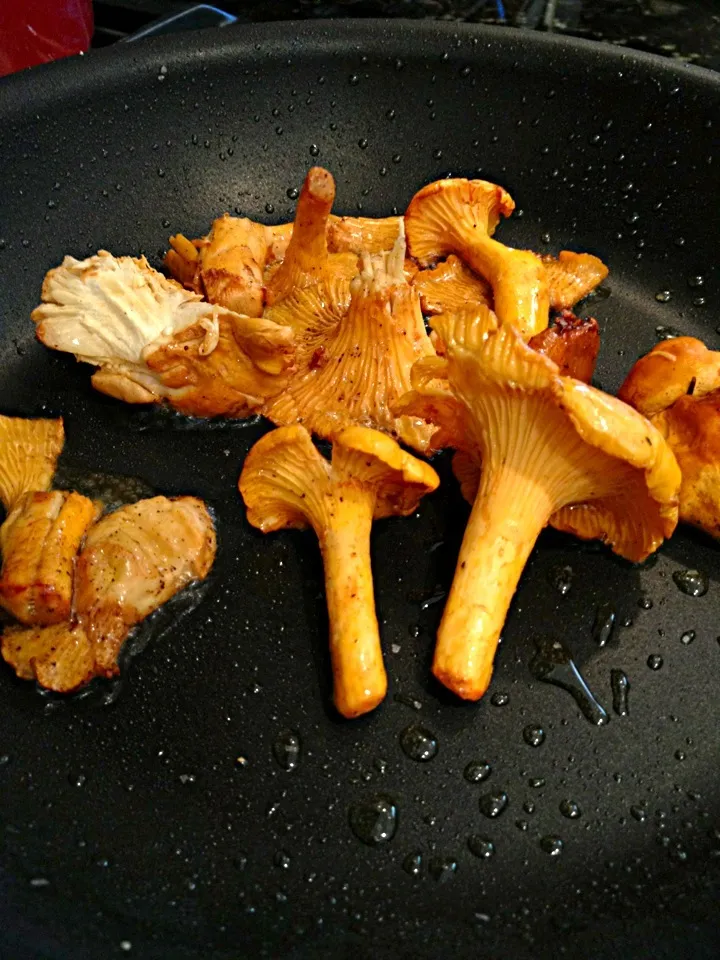 Chanterelles|chris bowdenさん