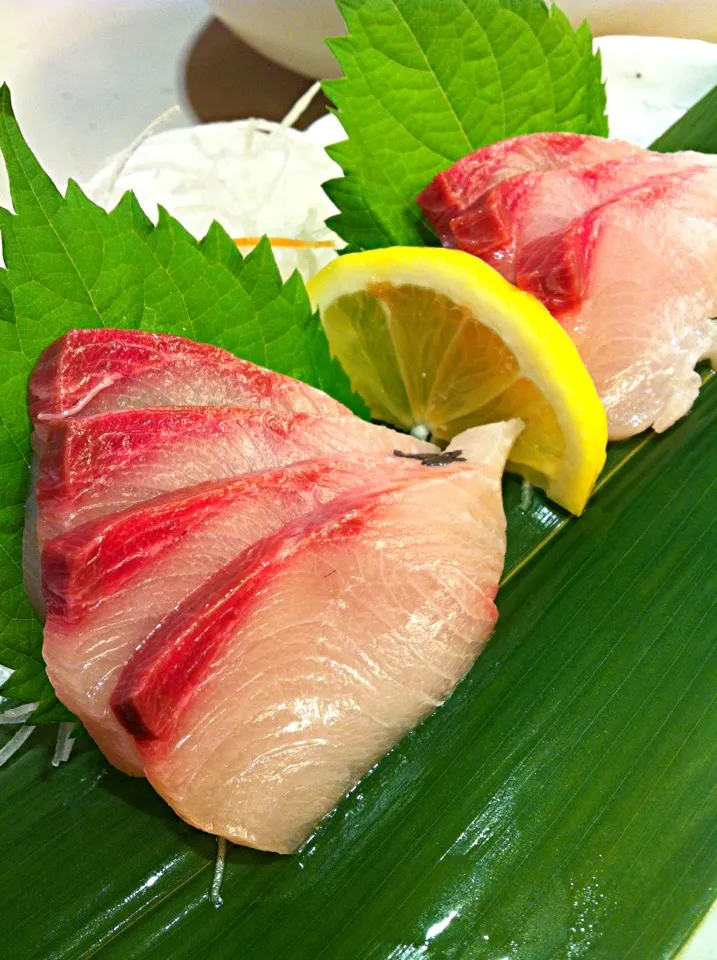 Hamachi sashimi|mikko tanさん