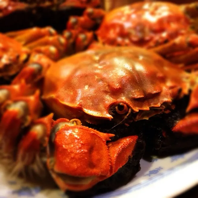 Snapdishの料理写真:Chinese Mitten Crab|Sam: photos by iPhoneさん