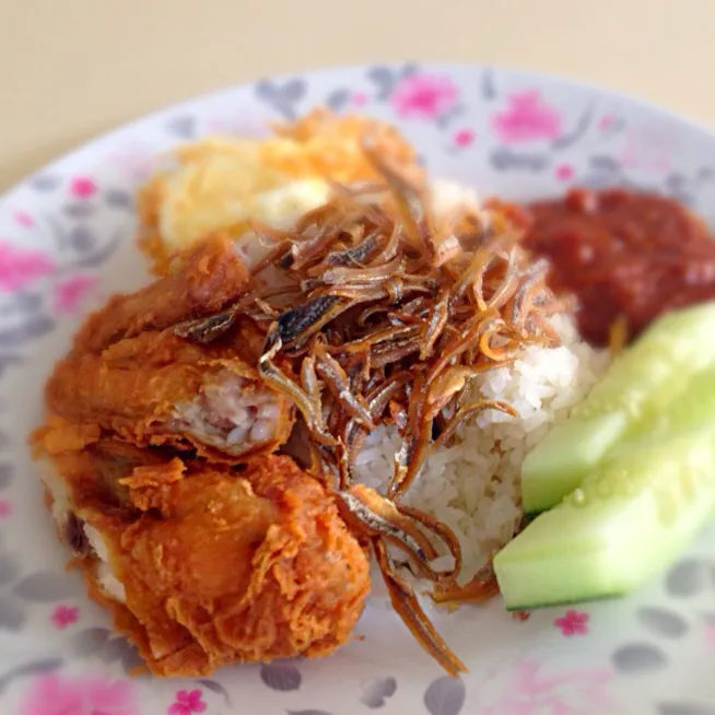 Nasi lemak|willzさん