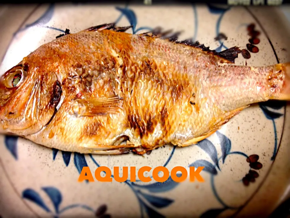 ちっさいけど…タイ！！|なぎまむさん