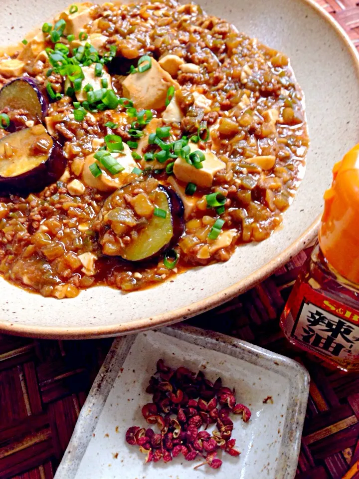 Sichuan style bean curd&egg plant(Mapo Tofu&🍆) 🇨🇳麻婆豆腐&茄子|🌈Ami🍻さん