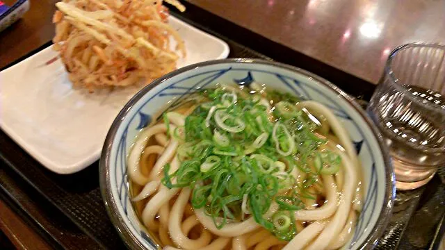 かけうどん&野菜かき揚げ|まぐろさん