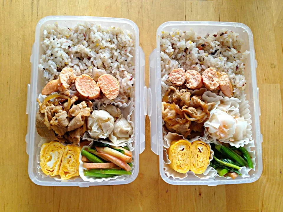 Snapdishの料理写真:本日のお弁当20131003|門乃ケルコさん