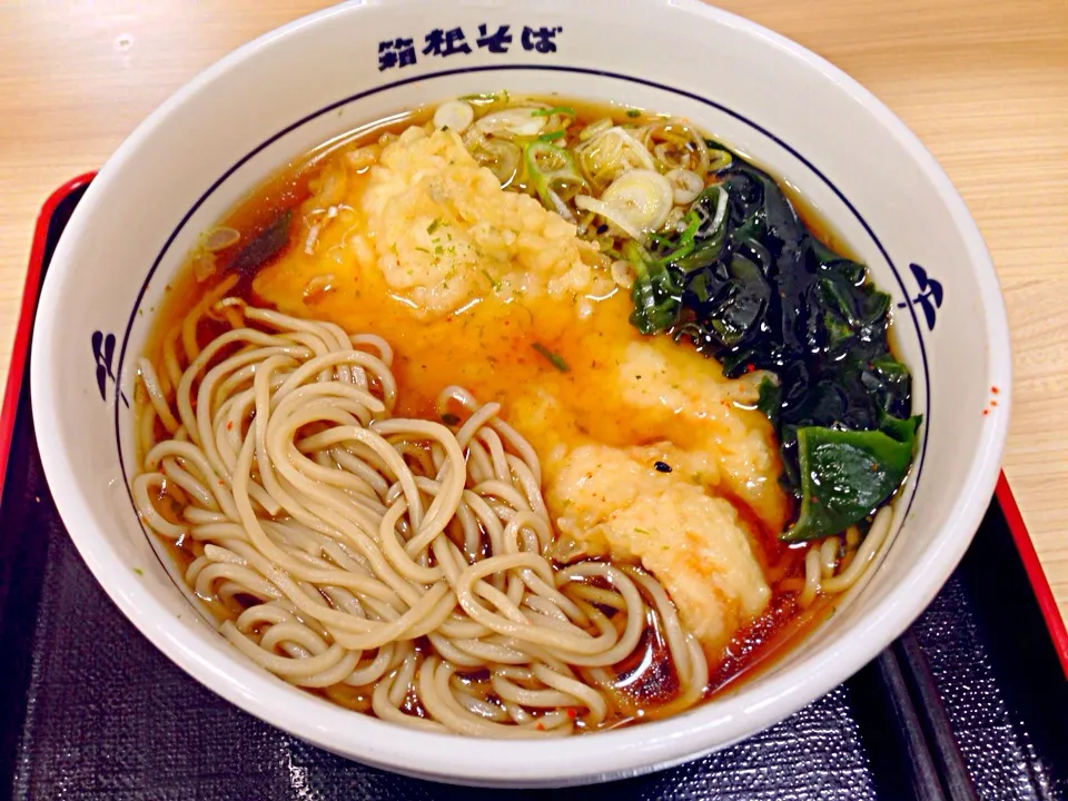 Snapdishの料理写真:鷄ササミ天蕎麦|じゅんいちさん