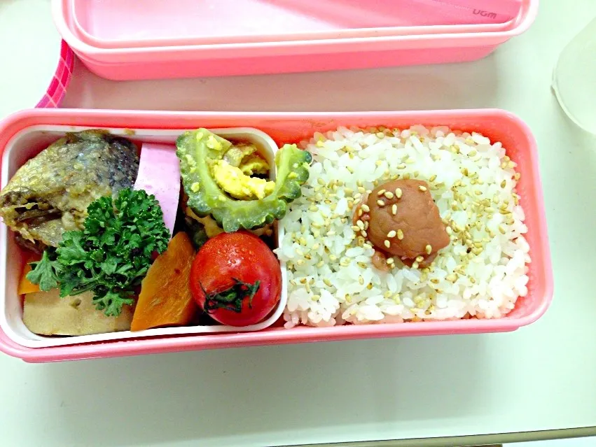 10/4お弁当|hiromi 히로미さん