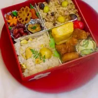 Snapdishの料理写真:秋の遠足の手作り行楽弁当(^-^)|りりさん