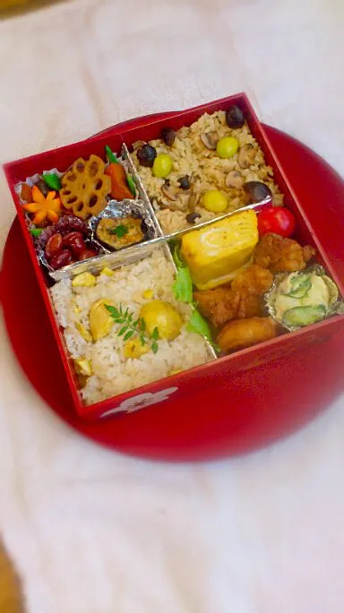 Snapdishの料理写真:秋の遠足の手作り行楽弁当(^-^)|りりさん