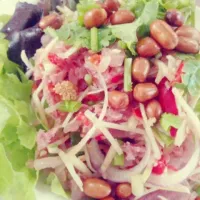 "Neam  salad" 
Food in thai , It's just a little to spicy ,
but it so belicious|Tammeiさん