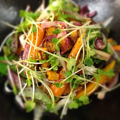 Autumn Veg Salad|Christopher William Beasleyさん