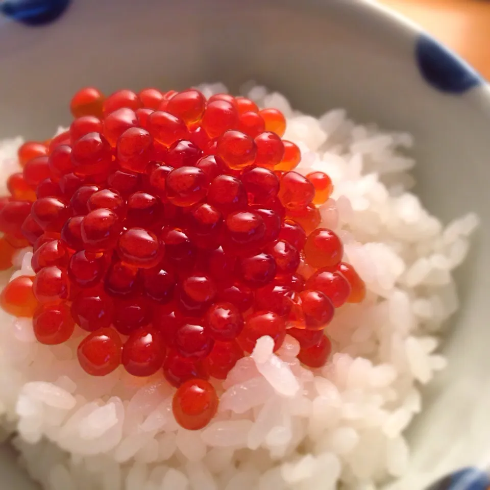 Freshly pickled salmon roe イクラ醤油漬け|Funky Chefさん