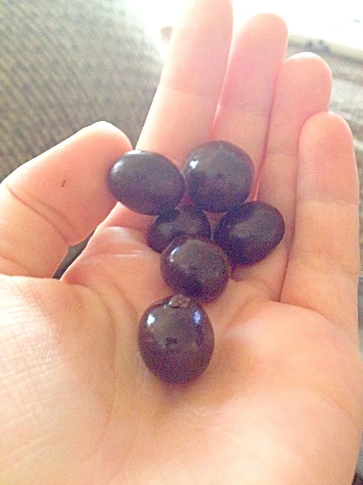 Dark chocolate blueberries|Erin Mooreさん