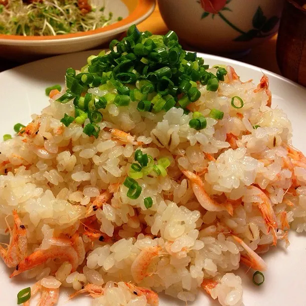 Snapdishの料理写真:桜海老の炊き込みご飯|Yoko Hayashiさん