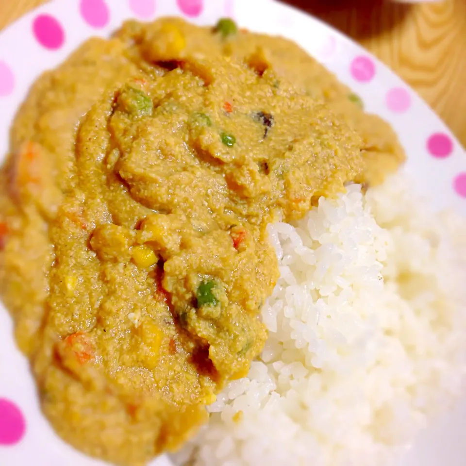 なんでもペーストにすればいいってもんじゃないよ。こんなの食べれんわ。キーモカレー。|cemさん