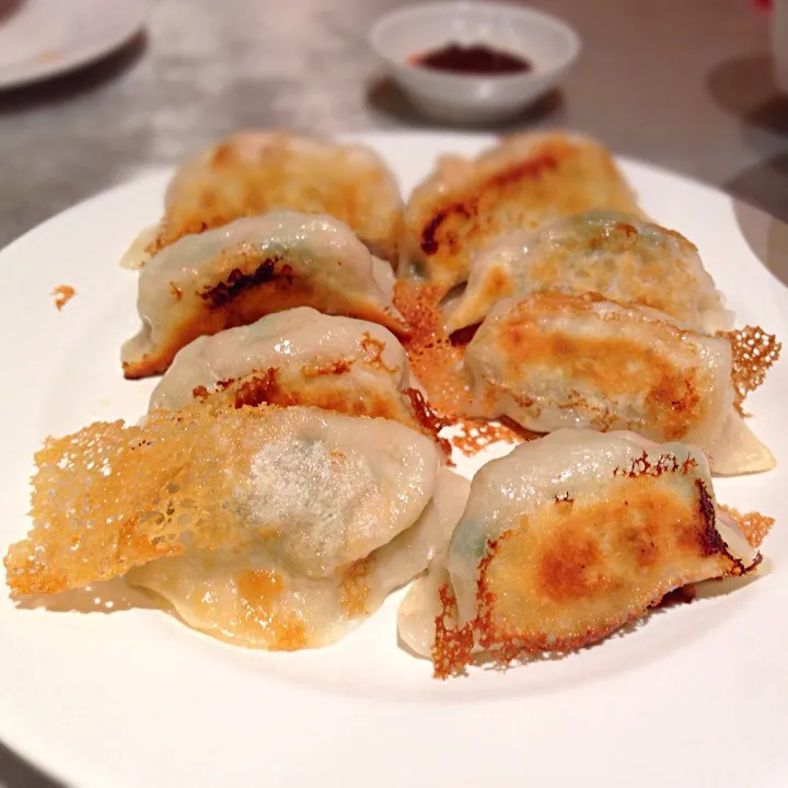 Snapdishの料理写真:yaki gyoza|willzさん