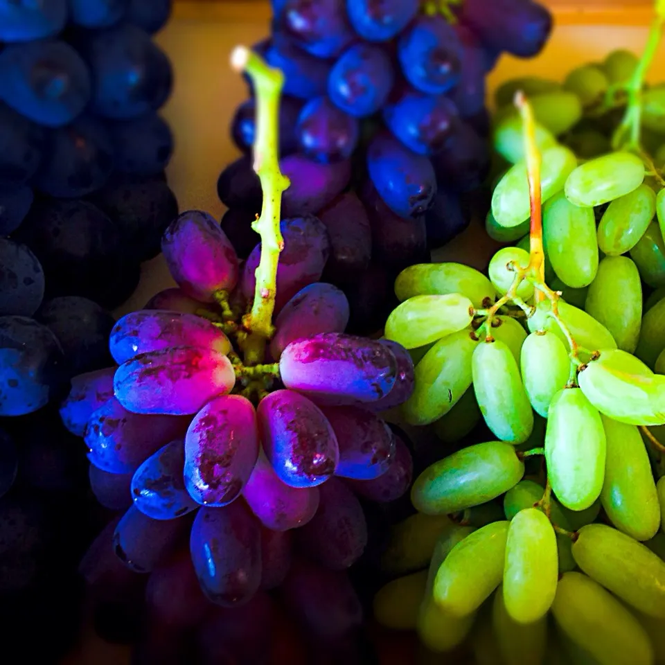 Grapes (Black beet, Wink, Nyunai)|Thien Anさん