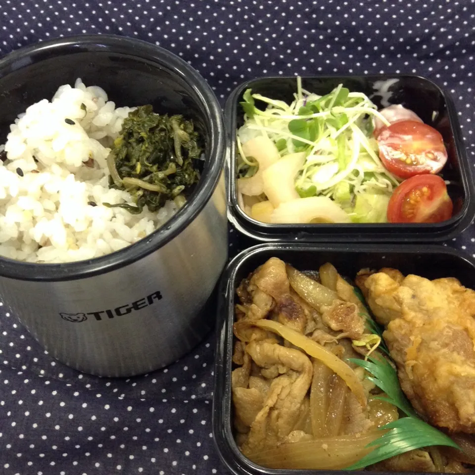 弁当（豚肉しょうが焼き、唐揚げ、サラダ、セロリ酢漬け、木胡椒佃煮）|SasaMasa213さん