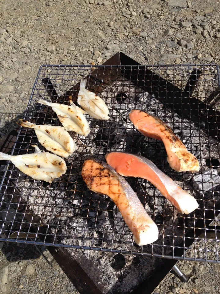 キャンプ飯♪炭火で焼き魚〜！|みっさんさん