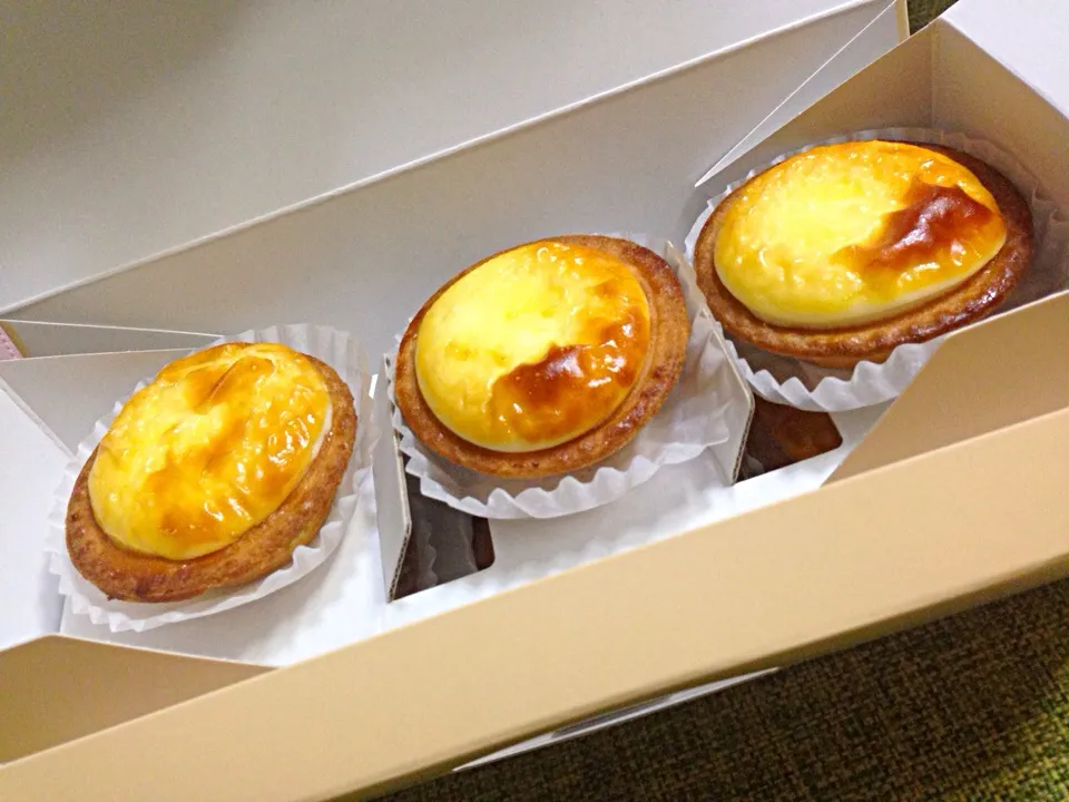 きのとや〜チーズタルト〜|山城あいさん