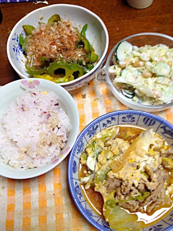 豚肉と白菜の煮物玉子とじ サラダ ピーマンの醤油炒め|掛谷節子さん