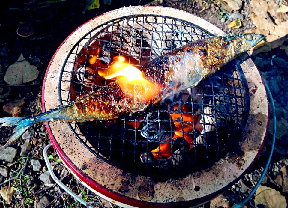 秋刀魚は七輪で焼くのが一番♪|ラー山さん