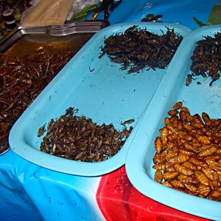 Street Foods of Pattaya - Deep Fried Insects|Yvonne Limさん