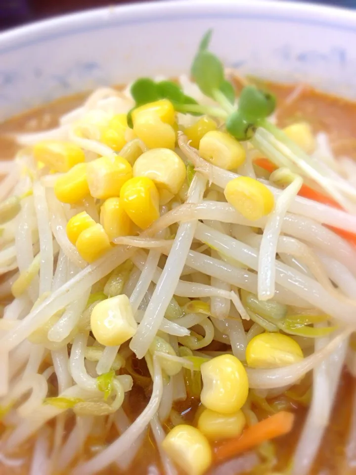 味噌ラーメン|seiichiro takahashiさん