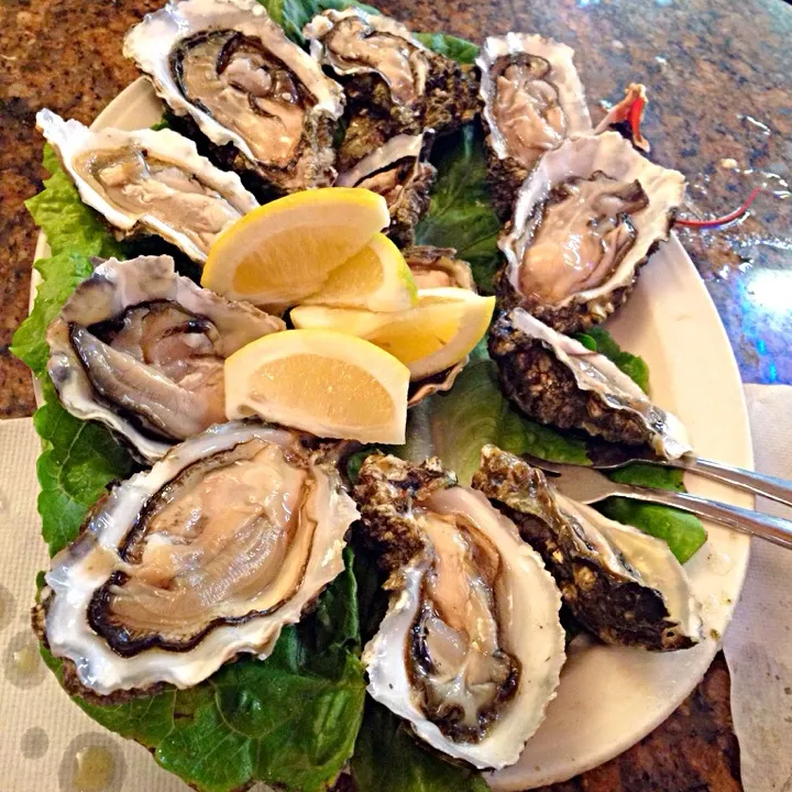 fresh oysters @ sabella, fisherman's wharf, san francisco, CA|Cloudy Gさん