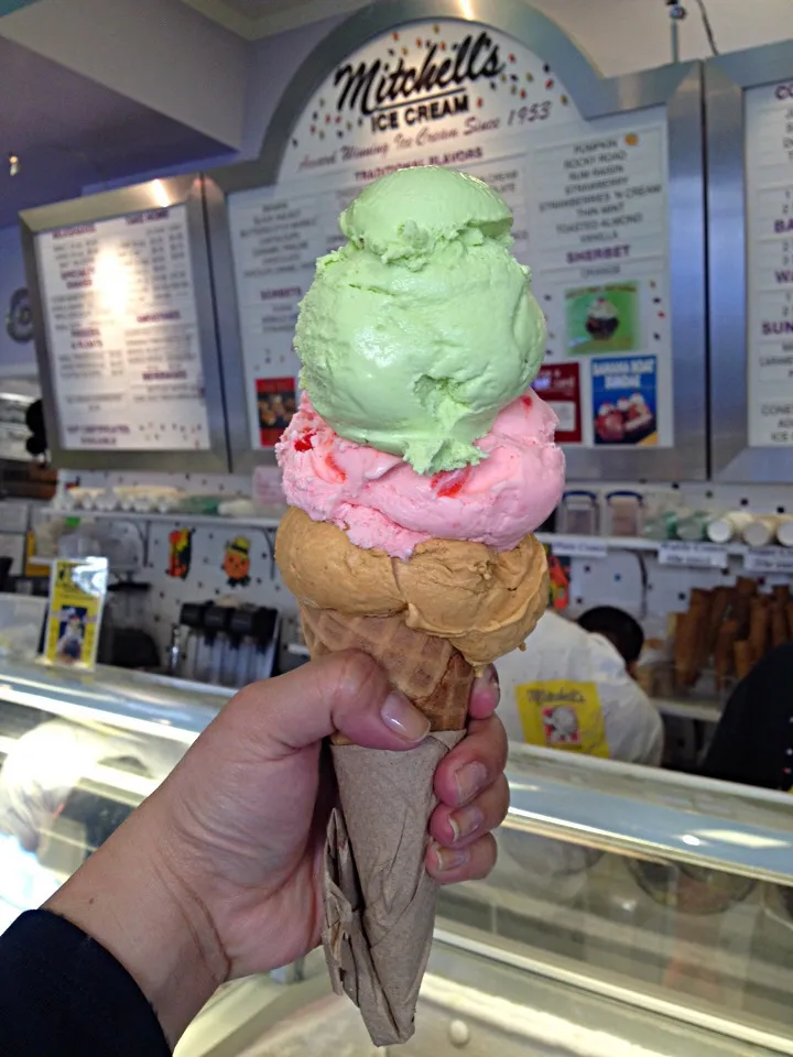 mitchell's ice cream, avocado, new york cherry and pumpkin|Cloudy Gさん