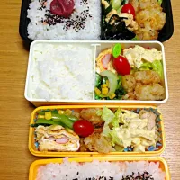 Snapdishの料理写真:１０月11日三人弁当