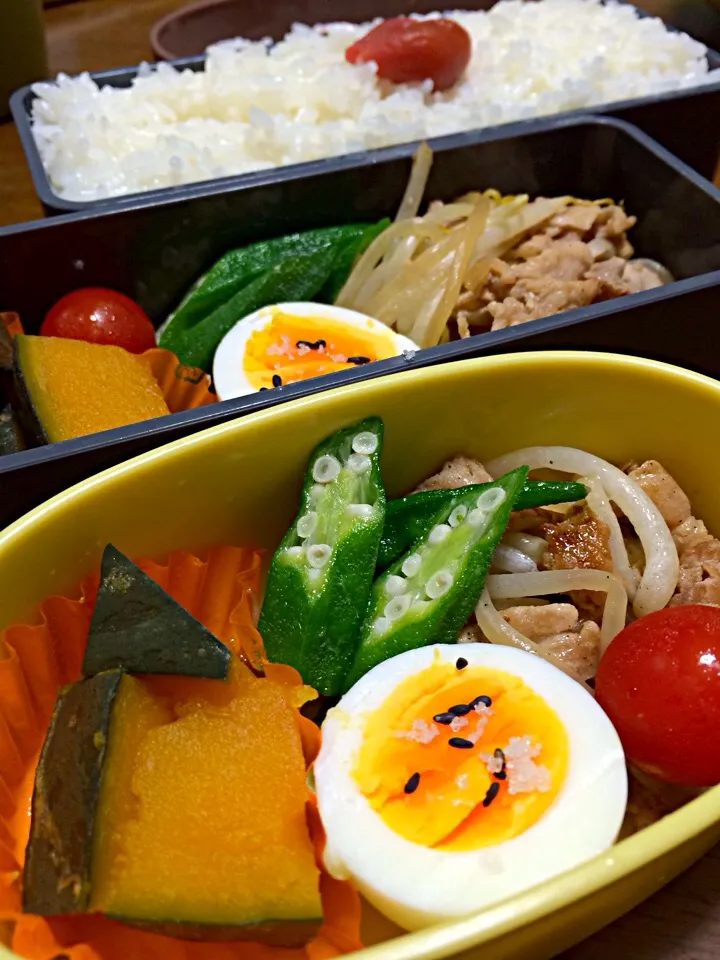 Snapdishの料理写真:10/11お弁当|美樹さん