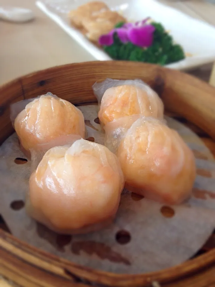 Shrimp Dumpling|fifilさん