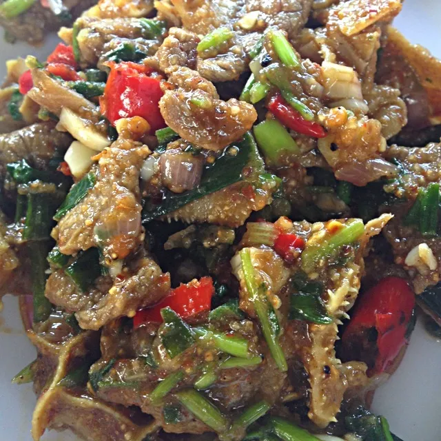 Stir Fry Beef Strips|jettさん