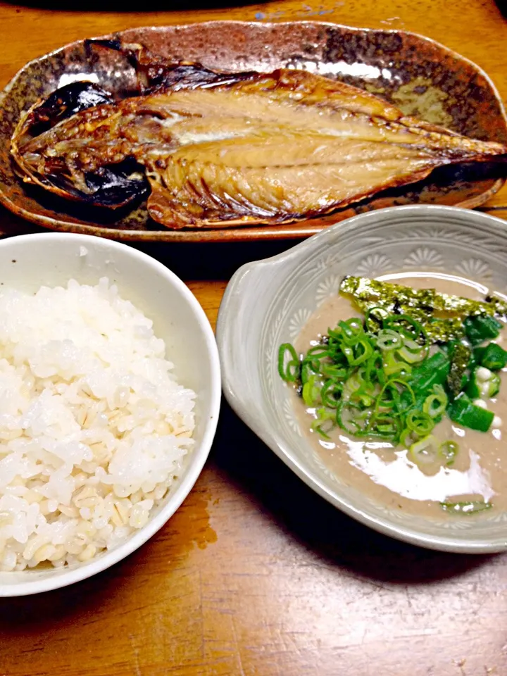 とろろ汁と鯵の干物・麦ご飯|まゆさんさん