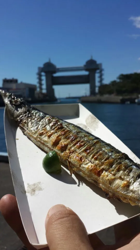 【沼津港 ライジングサンマフェス】気仙沼と同時開催 沼津の戸田塩、絶滅危惧種の柑橘。タチバナを絞って。むちゃくちゃ旨かったな♪|うめロクさん