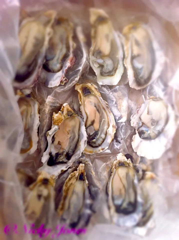 Oysters au naturel|Nicky Jonesさん