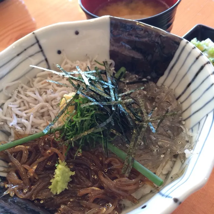 しらす三色丼（生、釜揚げ、沖漬け）|charさん