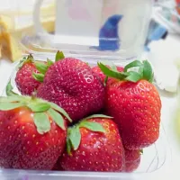 fresh strawberries :)|sarahsattarさん