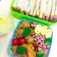 ピクニック弁当|よっこ (๑❛ᴗ❛๑)さん