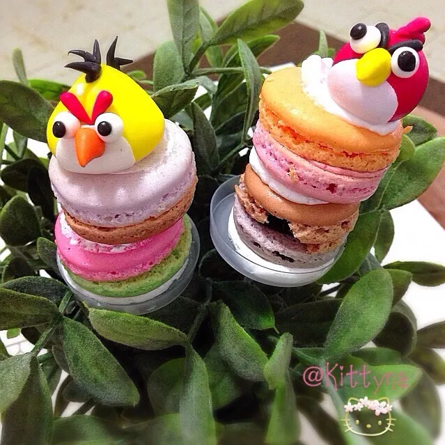 ღсμтё Angry Birds🐦Macaron 🐤ღ(๑ﾉ ᴗ ◔ิ๑)🎀|🎀Kittyna🌸さん