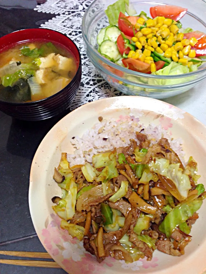 Snapdishの料理写真:豚丼の晩ご飯|やすさん