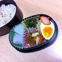 今日のお弁当(bﾟv`*)|かずさん