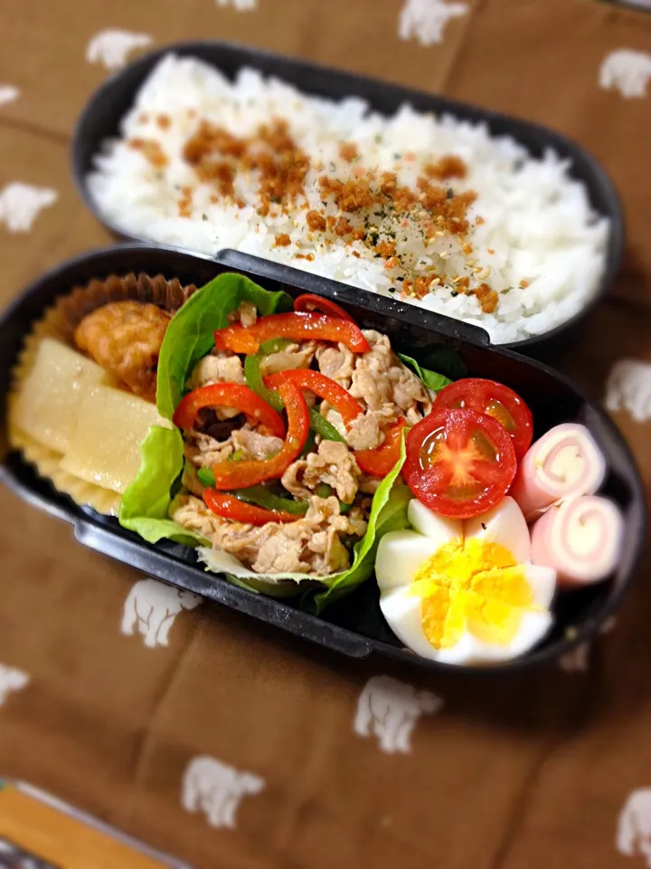 10月15日旦那弁当|ikeharaさん