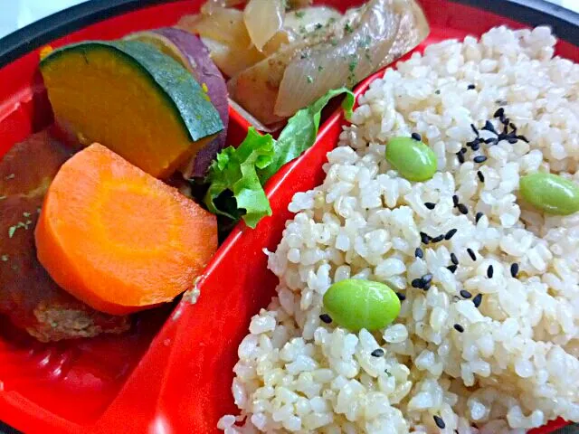 little lunch brown rice version|satokaさん