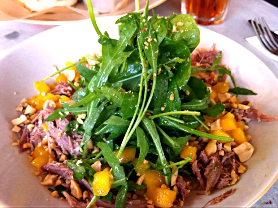 Shredded beef with mango & arugula salad|12Dragonさん