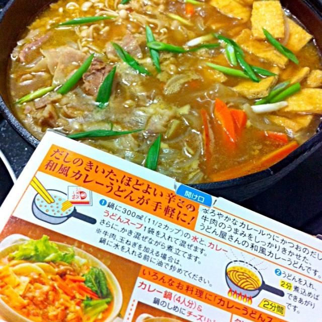 りんちゃんに頂いたヒガシマルカレーうどんスープで カレー鍋 今日